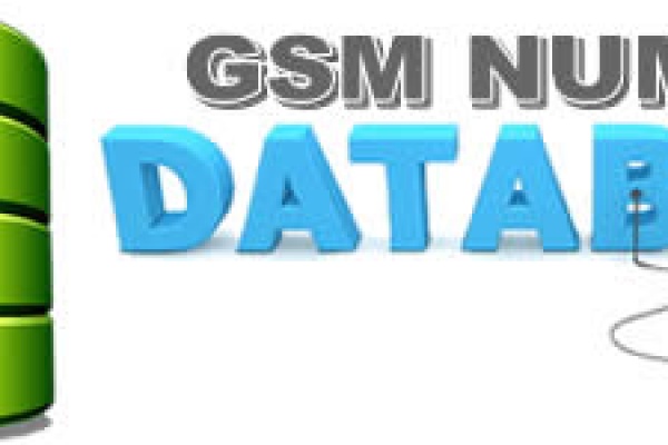 gsm database01