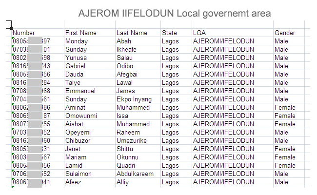 Ajeromi Ifelodun local government area of lagos state